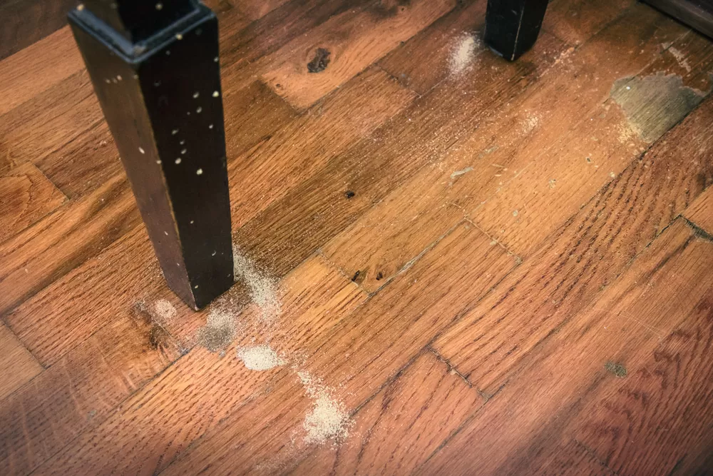 signs that floor restoration may be needed