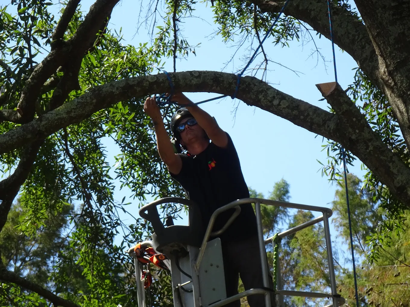 Risk Mitigation Plan Inspections