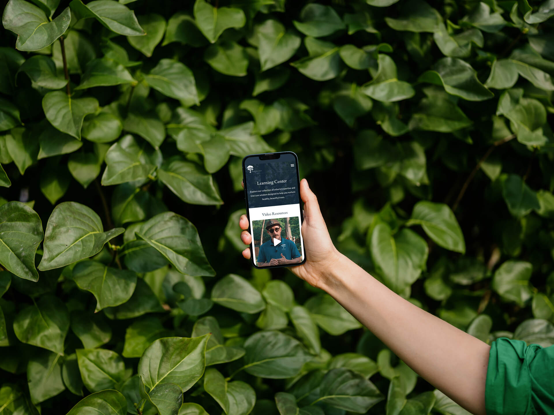 arborwork website in mobile