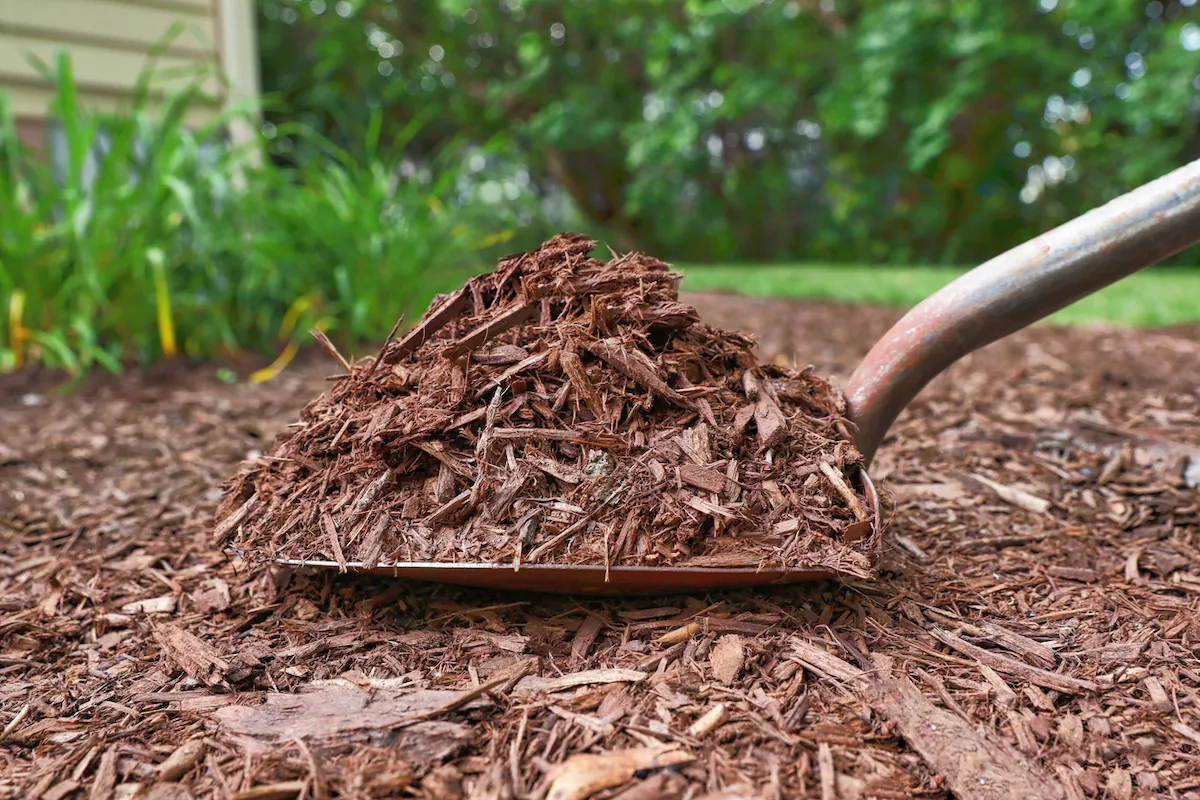 kinds of mulch