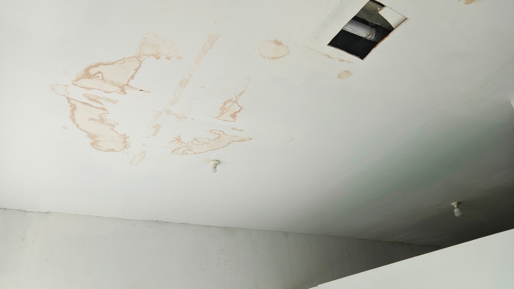 Roof Problems Early on Homes