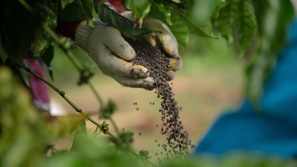 mistakes people make with fertilizer