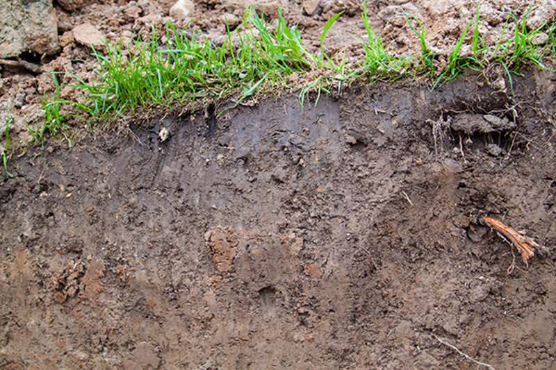 how to fix compacted soil