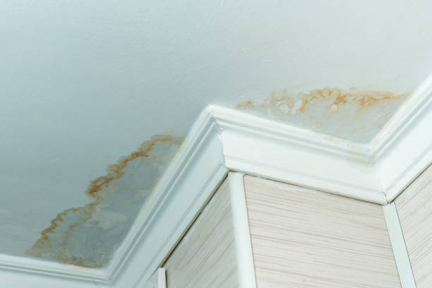 leak in ceiling 