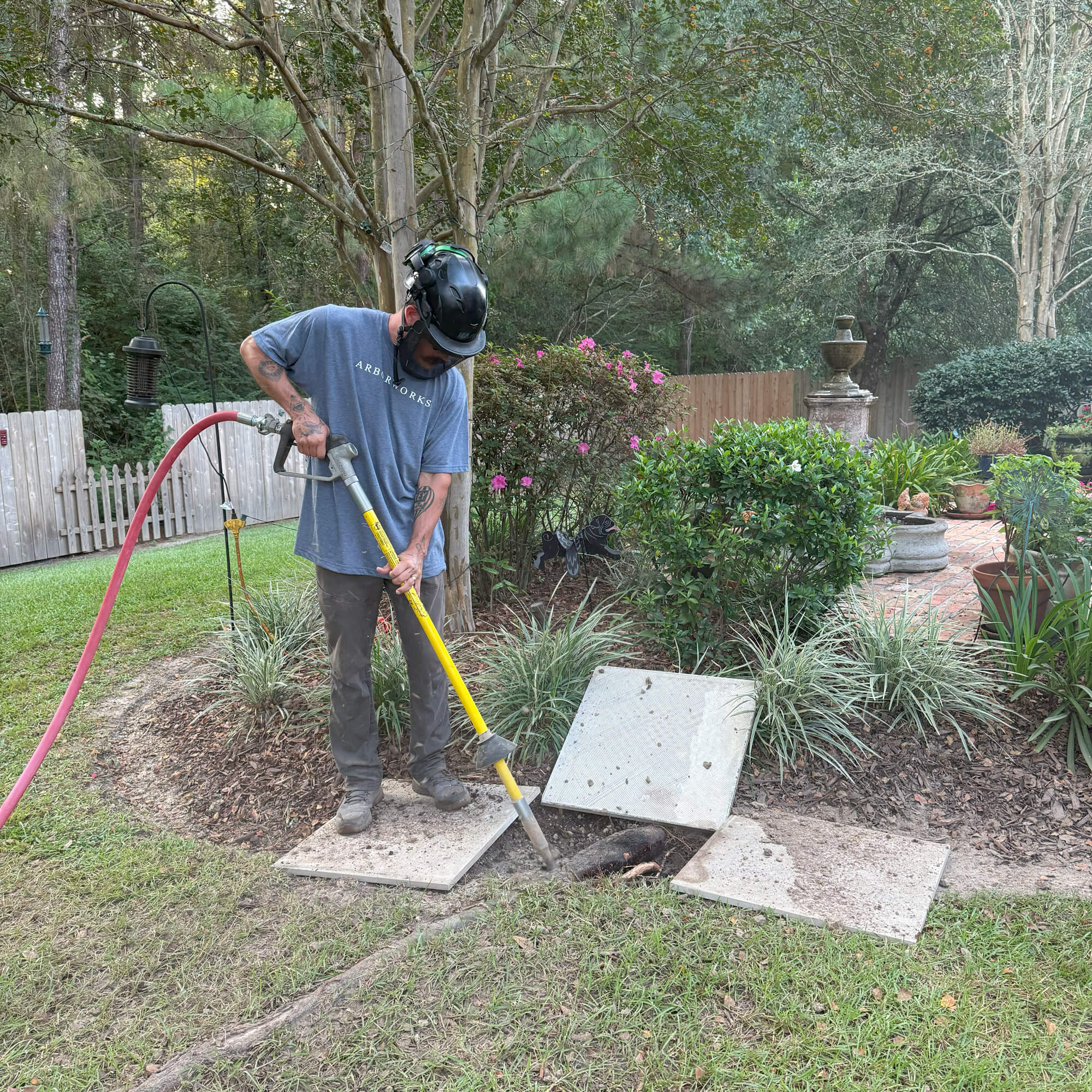 Tree Root Pruning Can Affect Tree Stability