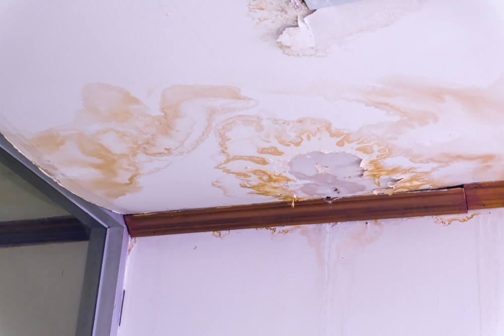 water damage restoration steps