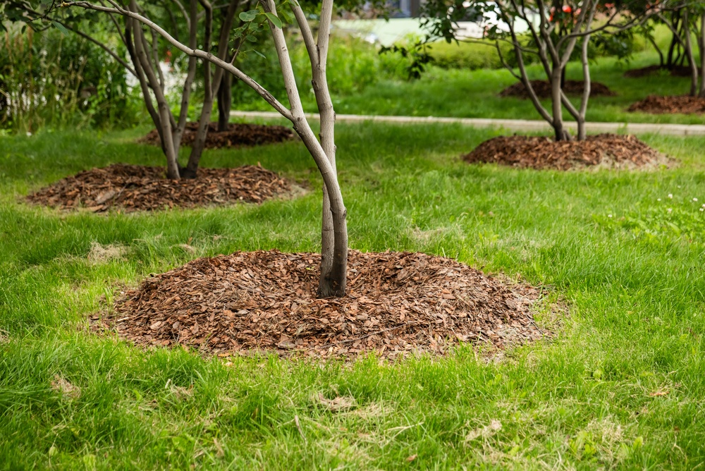 does mulch prevent weeds from sprouting
