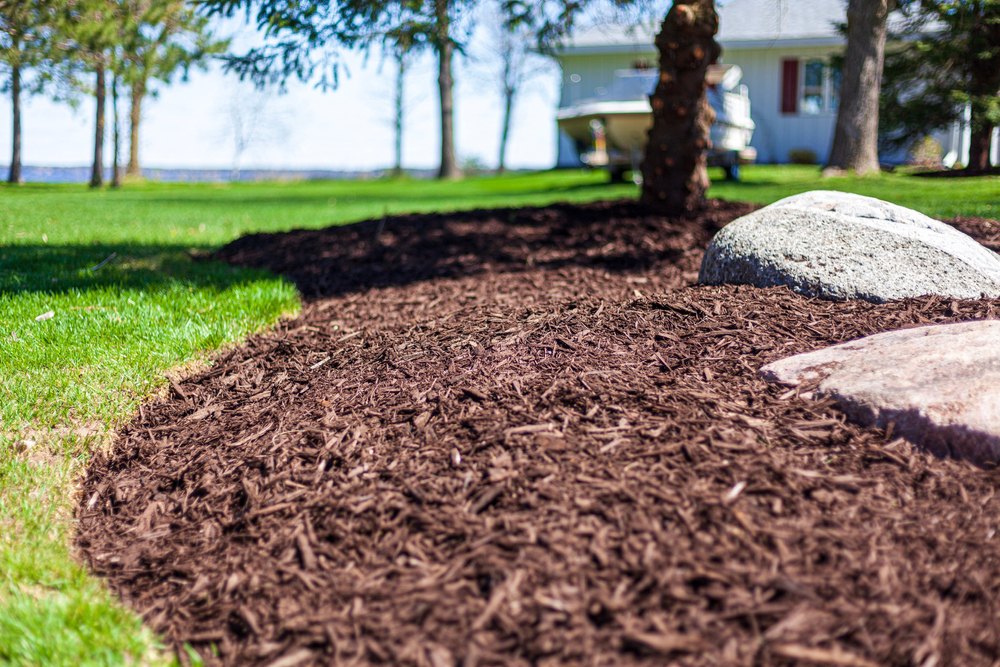 best mulch for weed control