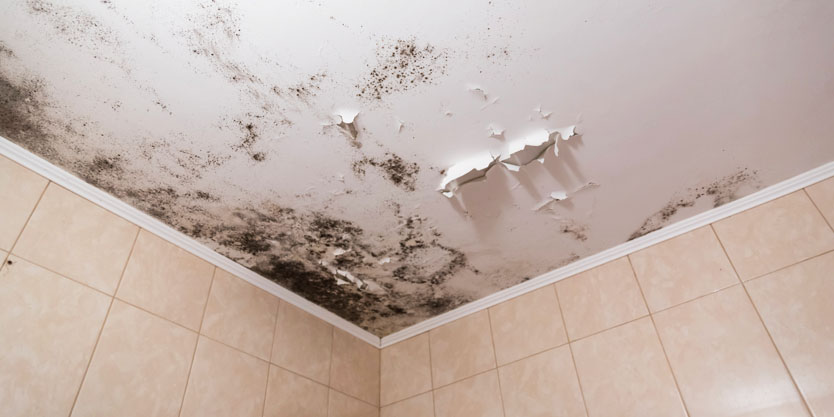 bathroom ceiling mold