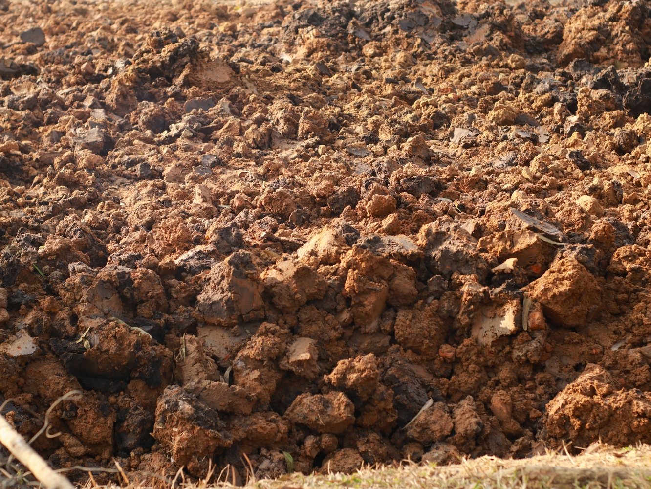 soil compaction test matters