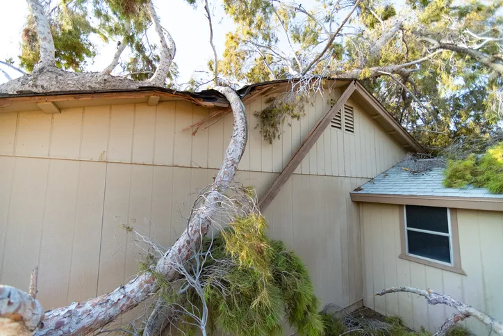 document everything before crews repair storm damage