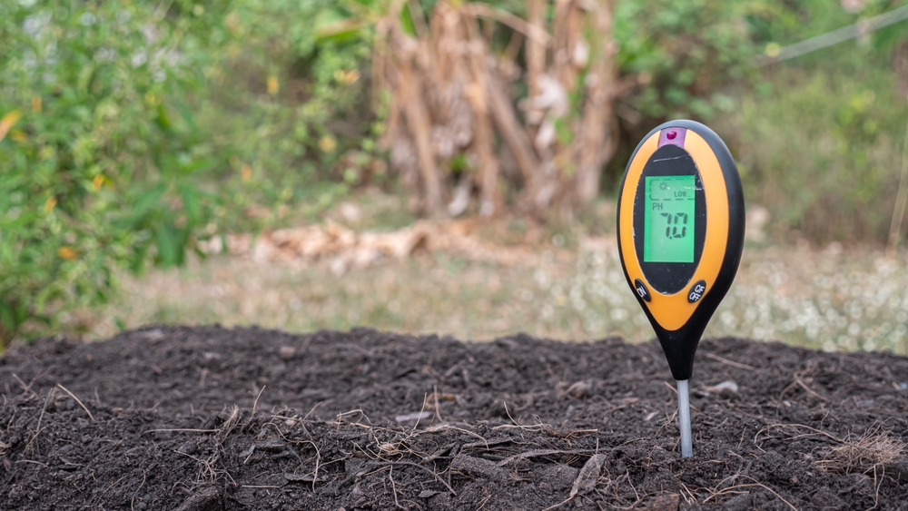 signs your yard needs a ph test