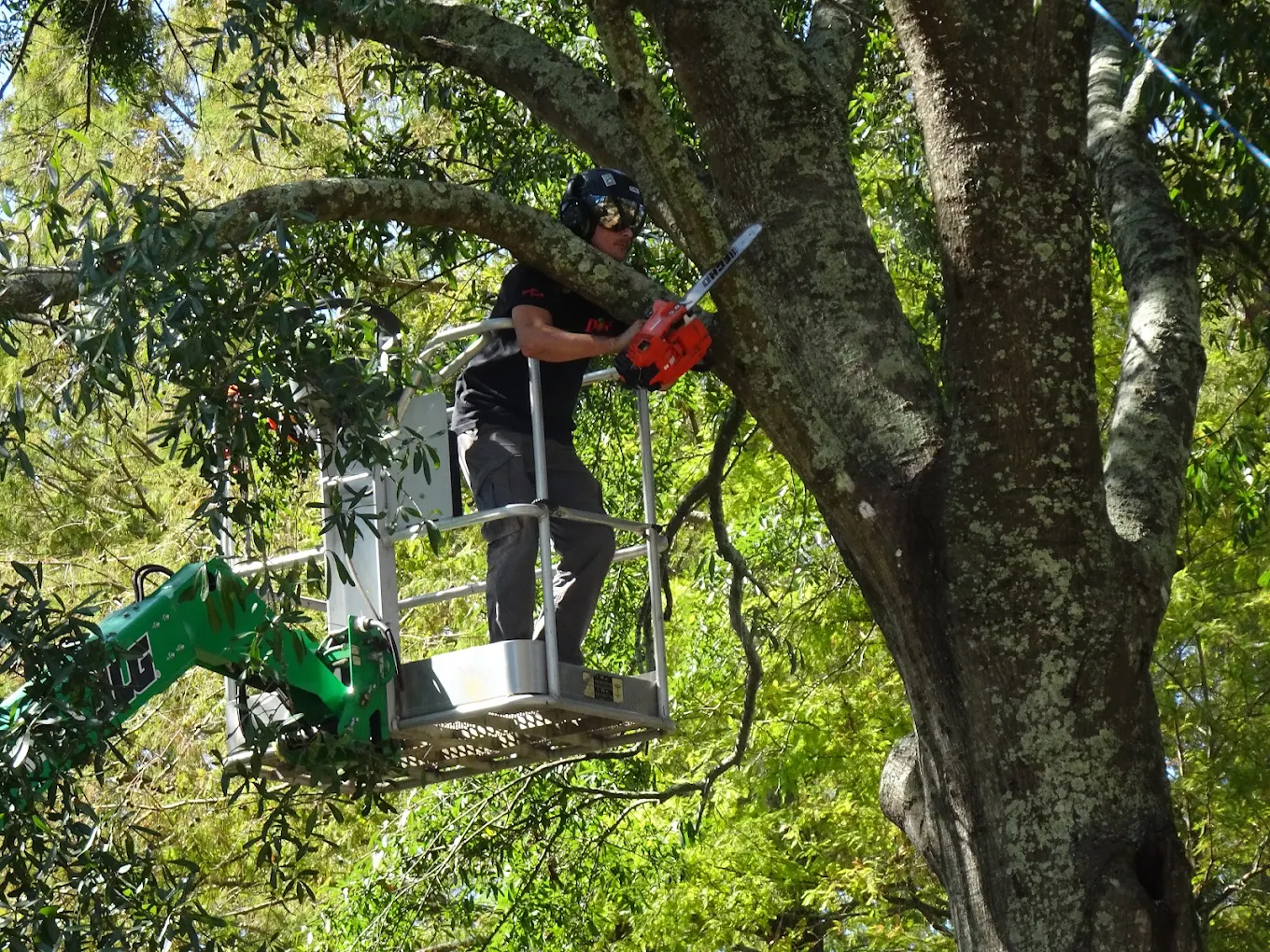 How to Do Risk Mitigation Plan Work